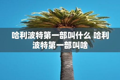 哈利波特第一部叫什么 哈利波特第一部叫啥
