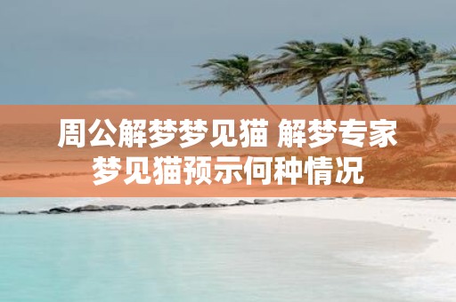 周公解梦梦见猫 解梦专家梦见猫预示何种情况