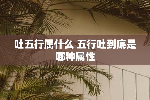 吐五行属什么 五行吐到底是哪种属性