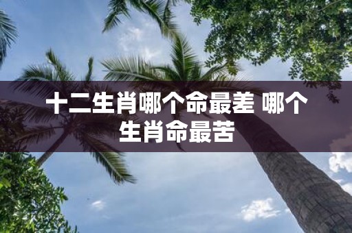 十二生肖哪个命最差 哪个生肖命最苦