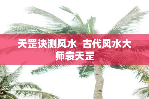 天罡诀测风水 古代风水大师袁天罡