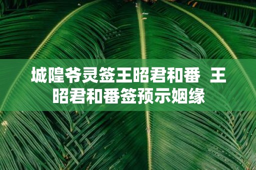 城隍爷灵签王昭君和番 王昭君和番签预示姻缘