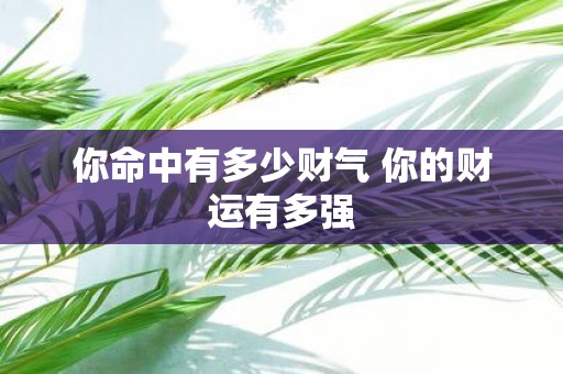 你命中有多少财气 你的财运有多强