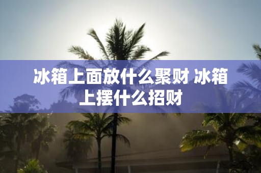 冰箱上面放什么聚财 冰箱上摆什么招财