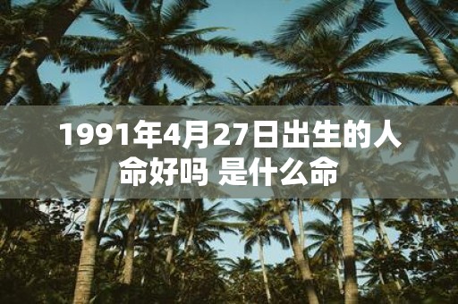 1991年4月27日出生的人命好吗 是什么命