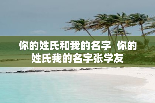 你的姓氏和我的名字 你的姓氏我的名字张学友