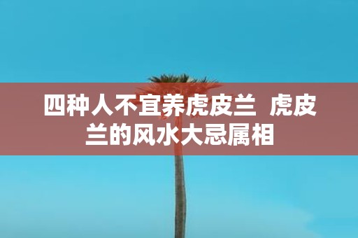 四种人不宜养虎皮兰 虎皮兰的风水大忌属相