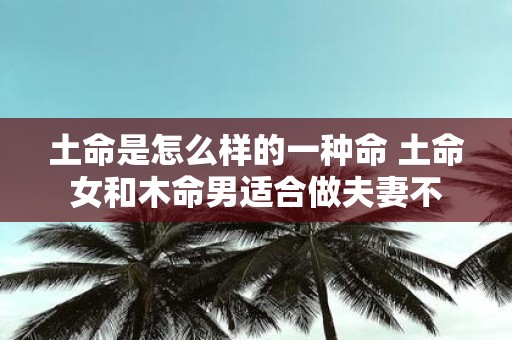 土命是怎么样的一种命 土命女和木命男适合做夫妻不