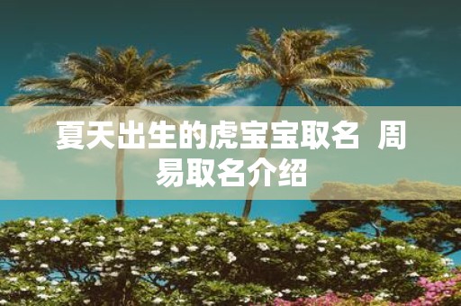 夏天出生的虎宝宝取名 周易取名介绍