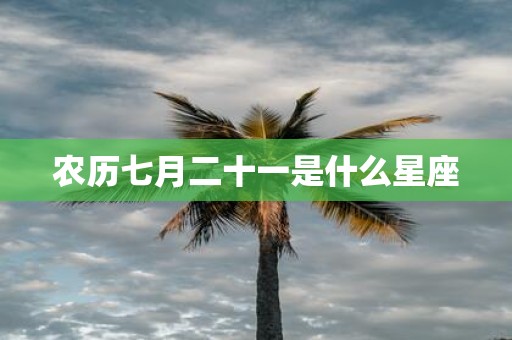 农历七月二十一是什么星座