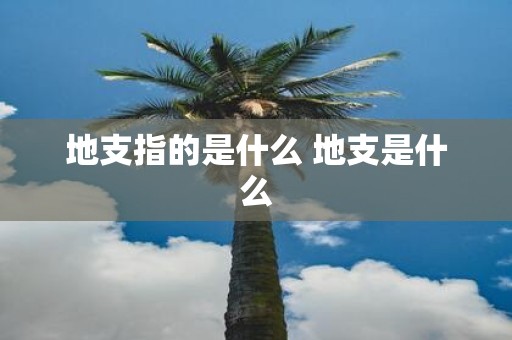 地支指的是什么 地支是什么