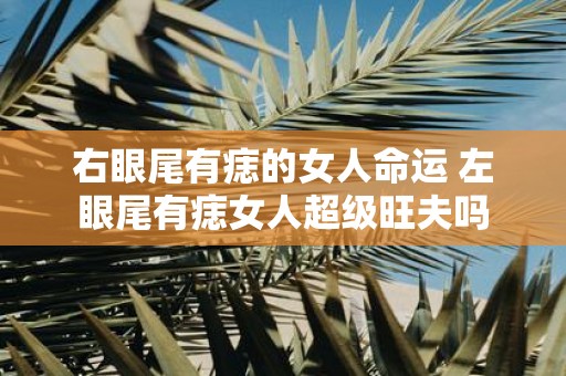 右眼尾有痣的女人命运 左眼尾有痣女人超级旺夫吗