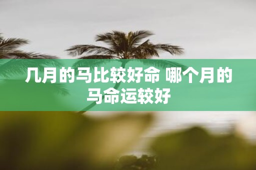 几月的马比较好命 哪个月的马命运较好