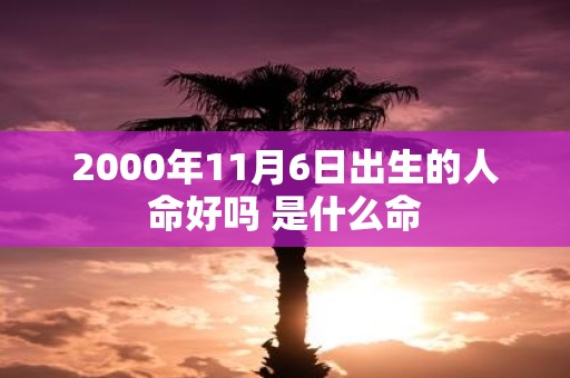 2000年11月6日出生的人命好吗 是什么命