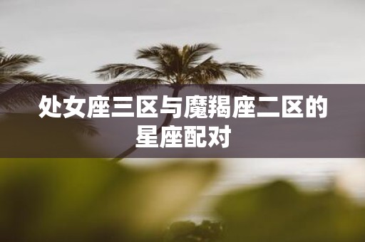 处女座三区与魔羯座二区的星座配对