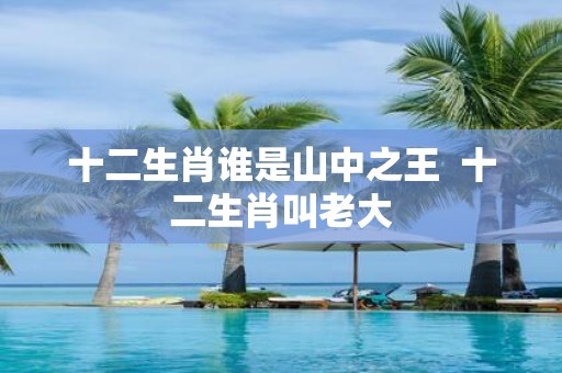 十二生肖谁是山中之王 十二生肖叫老大