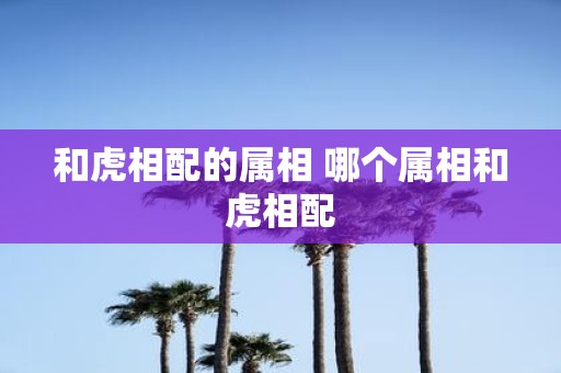 和虎相配的属相 哪个属相和虎相配