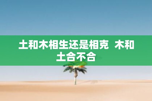 土和木相生还是相克 木和土合不合