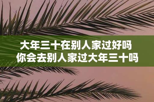 大年三十在别人家过好吗 你会去别人家过大年三十吗