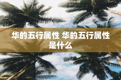华的五行属性 华的五行属性是什么