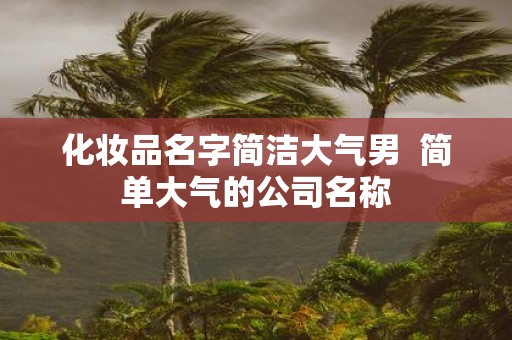 化妆品名字简洁大气男 简单大气的公司名称
