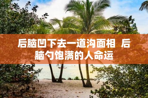 后脑凹下去一道沟面相 后脑勺饱满的人命运