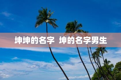 坤坤的名字 坤的名字男生
