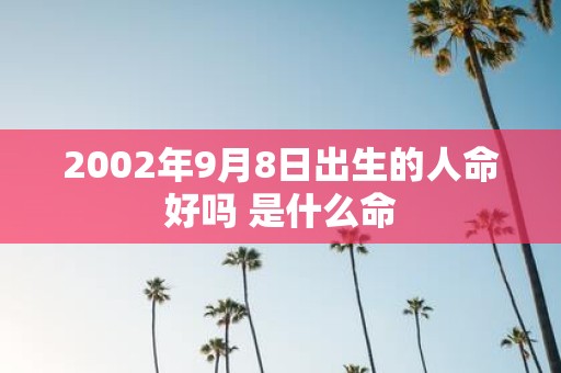 2002年9月8日出生的人命好吗 是什么命