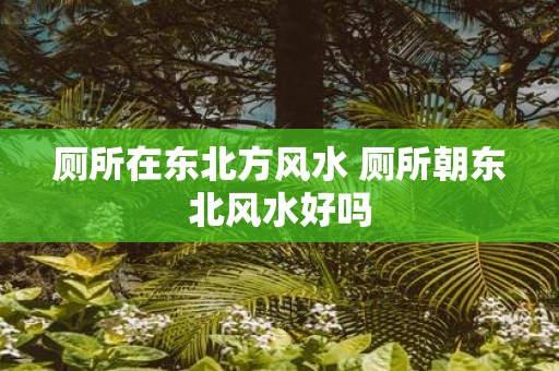 厕所在东北方风水 厕所朝东北风水好吗