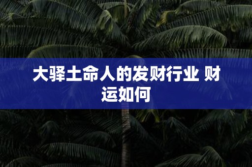 大驿土命人的发财行业 财运如何