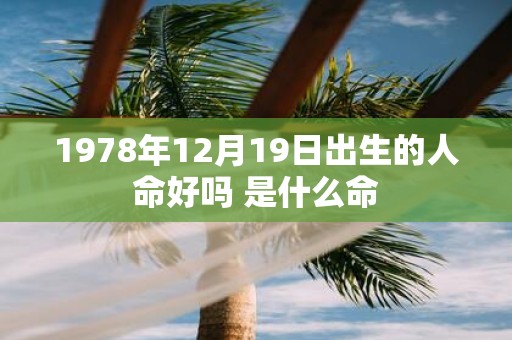 1978年12月19日出生的人命好吗 是什么命