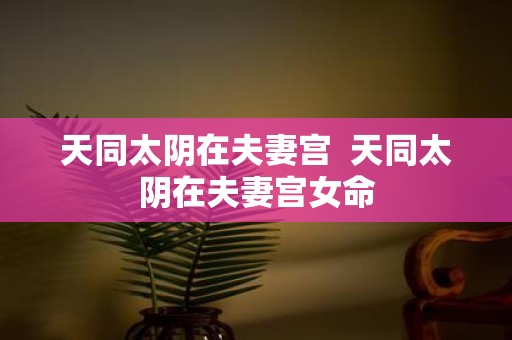 天同太阴在夫妻宫 天同太阴在夫妻宫女命