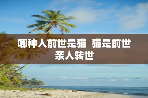 哪种人前世是猫 猫是前世亲人转世