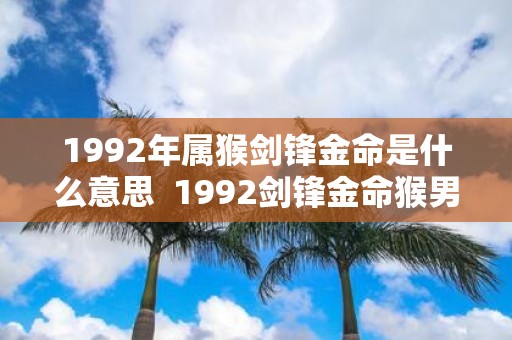 1992年属猴剑锋金命是什么意思 1992剑锋金命猴男