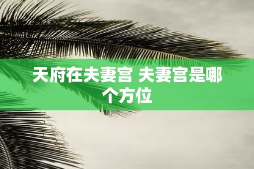 天府在夫妻宫 夫妻宫是哪个方位