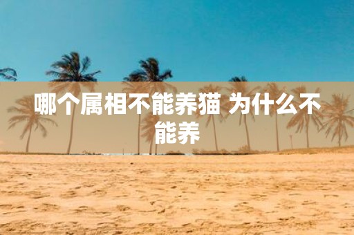 哪个属相不能养猫 为什么不能养