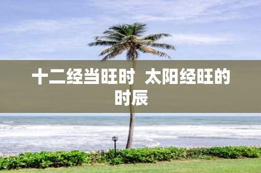 十二经当旺时 太阳经旺的时辰