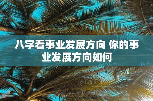 八字看事业发展方向 你的事业发展方向如何