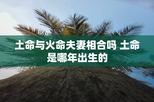 土命与火命夫妻相合吗 土命是哪年出生的