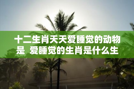 十二生肖天天爱睡觉的动物是 爱睡觉的生肖是什么生肖