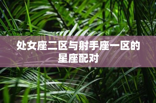 处女座二区与射手座一区的星座配对