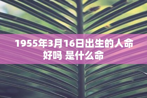 1955年3月16日出生的人命好吗 是什么命