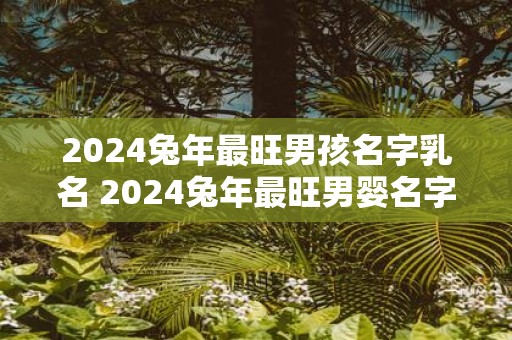 2025蛇年最旺男孩名字乳名 2025蛇年最旺男婴名字乳名是什么