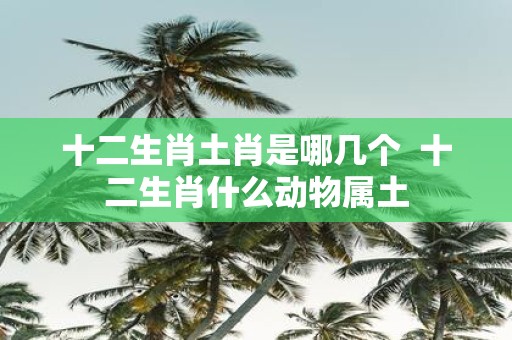 十二生肖土肖是哪几个 十二生肖什么动物属土
