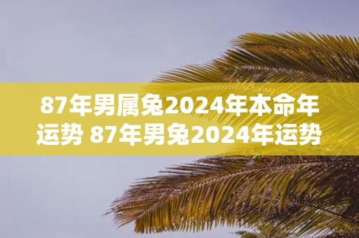 87年男属兔2025年本命年运势 87年男兔2025年运势如何