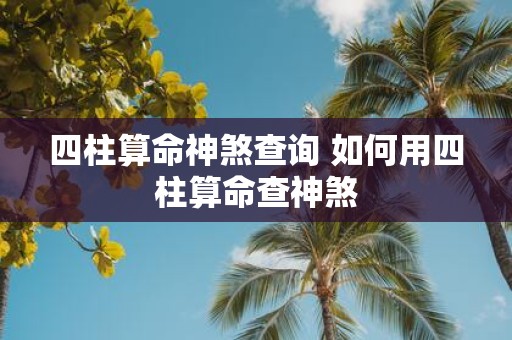 四柱算命神煞查询 如何用四柱算命查神煞