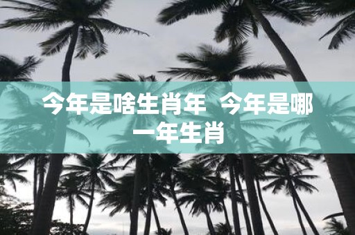 今年是啥生肖年 今年是哪一年生肖
