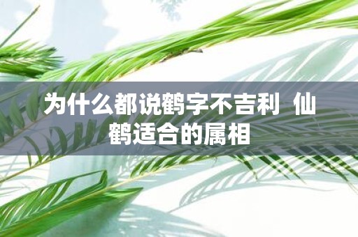 为什么都说鹤字不吉利 仙鹤适合的属相