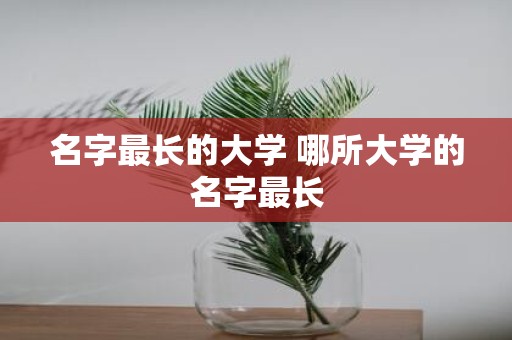 名字最长的大学 哪所大学的名字最长