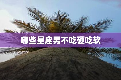 哪些星座男不吃硬吃软